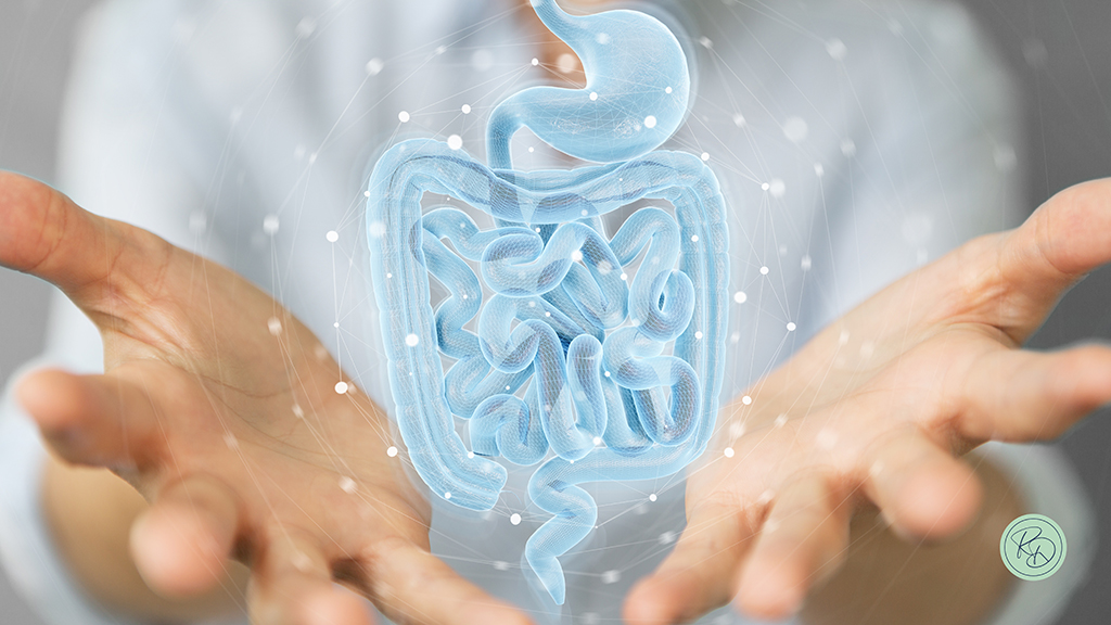 Il Ruolo del Microbiota Intestinale | ROSY DI DATO