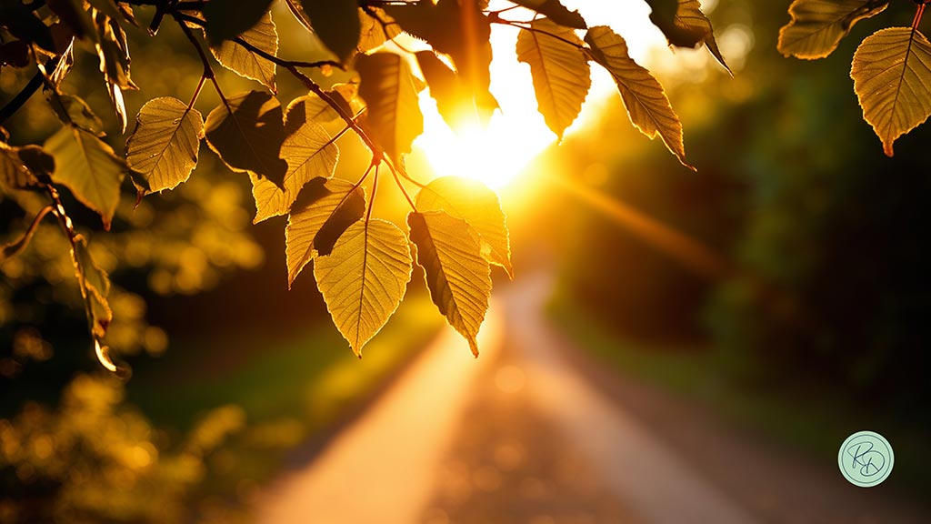 Cosa possiamo imparare dalla storia di Irene | ROSY DI DATO