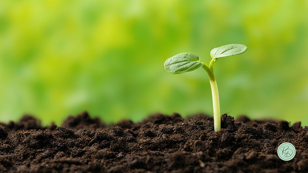 Fame emotiva vs fame fisica | ROSY DI DATO